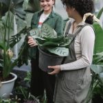 Gardening Ideas for Primary Schools Fun and Educational Gardening Activities for Primary Schools - Cultivate green thumbs in young students