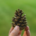 small space gardening made easy