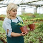 Serene HOUZZ Zen Gardens Design Ideas showcasing peaceful oasis for relaxation and harmony