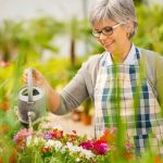 Wildlife Pond Ideas for Small Gardens Transform small spaces with wildlife pond ideas for small gardens, creating a harmonious ecosystem