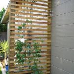 Landscaping Ideas for Tropical Gardens lush foliage, vibrant flowers, and serene water features