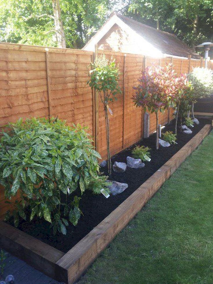 Creative gardening tips and inspiration for beautiful leaves in your garden