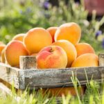 Gardening Ideas at Home India creative planting ideas for your outdoor space