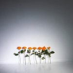 Vertical Gardening Ideas Philippines Creative vertical gardening inspirations in the Philippines – a must-see