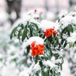 Gardening Science Project Ideas Explore fun and educational gardening science project ideas for all ages