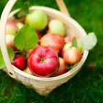 Repurposed Gardening Ideas Creative ways to repurpose items in the garden – REPURPOSED GARDENING IDEAS