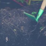 Fence Ideas for Raised Bed Gardens Enhance your garden design with these options