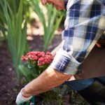 planting, pruning, identifying plants, and creating sustainable gardens. Happy planting