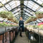 Gardening Ideas for Under Trees Shade-loving plants, mulch, and hanging baskets