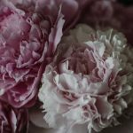 Mothers Day Gardener Ideas 2018 mothers day gardener ideas 2018