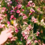 Gardening Ideas Around Patio Explore creative gardening ideas around patio spaces to enhance outdoor living experience