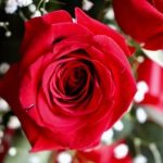 Living Room Furniture Arrangement Ideas Better Homes & Gardens Explore creative living room furniture arrangement ideas from Better Homes & Gardens for inspired home decor