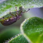 Gardening Ideas for Apartment Living Apartment living ideas for creating beautiful indoor gardens