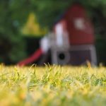 Creative garden display ideas at Gardening Theme Trade Show Booth to engage visitors