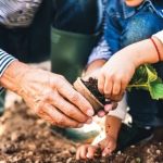 Explore resilience and creativity in In Search of Our Mothers' Gardens by highlighting the MAIN IDEA