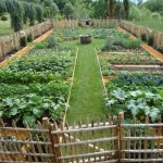 Island Gardening Ideas Transform your backyard with unique island gardening ideas to create a tropical oasis