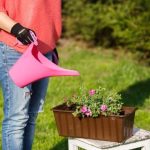 Metal Lattice Fence Gardening Ideas Enhance garden with elegant metal lattice fence for creative landscaping ideas