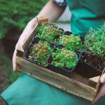 Gardening tools set - perfect Father's Day gift idea