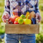 Early Spring Gardening Ideas in Oregon Planning, Planting, and Maintenance Strategies