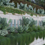 Vibrant community garden designs for inspiration and sustainable living