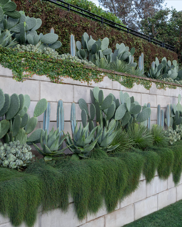 Ideas for Community Gardens 3 Vibrant community garden designs for inspiration and sustainable living