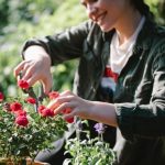 Screening Ideas for Front Gardens Explore screening ideas for front gardens to create privacy and beauty