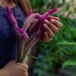 Explore unique gift ideas for the gardener in your life - practical tools, seeds, and decor