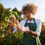 Explore Better Homes and Gardens powder room ideas for stylish and functional design inspiration