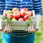 Country Gardening Ideas Zone 4 South Side of House Explore creative country gardening ideas for Zone 4 on the south side of your house