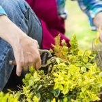 Fun Gardening Ideas for Kids DIY planters, sensory garden, themed plots
