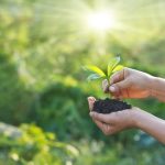 Creative Ideas for School Gardens Explore innovative ways to design school gardens to inspire creativity and learning