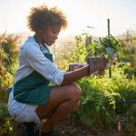 Creative Container Gardening Ideas showcasing beautiful Bronze Pink Begonias for a vibrant outdoor display