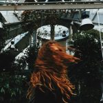 Creative garden displays for trade shows incorporating unique plant arrangements and interactive elements