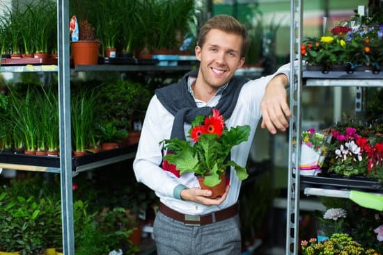 Stunning landscaping ideas for gardens incorporating rocks to enhance natural beauty