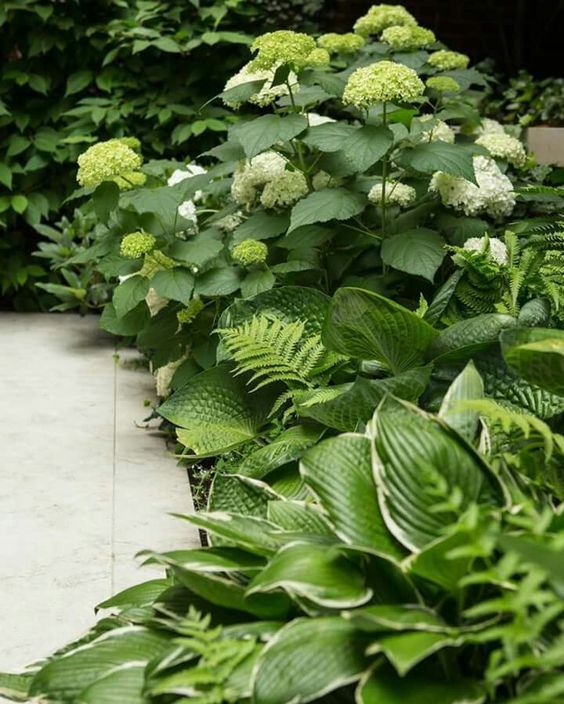 Northeast Gardening Ideas 1 Tips for plants, layout, and design in colder climates