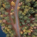 Fresh Ideas for Kitchen Gardens Ellen Ecker Ogden Explore Ellen Ecker Ogden's fresh ideas for kitchen gardens with practical tips and beautiful designs