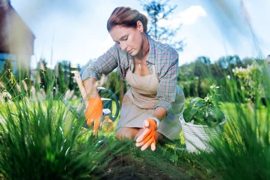 gift ideas for gardeners 2014