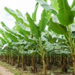 Explore creative DIY gardening tool ideas for your outdoor space