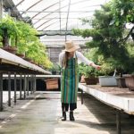 Roof Gardening Ideas in Chennai green oasis above the city skyline
