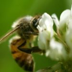 Gardens Low Maintenance Ideas Simple and practical low maintenance garden ideas for creating beautiful outdoor spaces