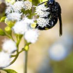 Garden Ideas for Sloping Gardens Uk Sustainable landscaping tips for sloping gardens in the UK - Great garden ideas