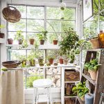Potted Gardening Ideas Vibrant potted gardening ideas with colorful blooms and unique containers