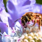 Ideas for a Gardeners Memorial Gift Unique and thoughtful ideas for a gardener's memorial gift to honor their passion and memory