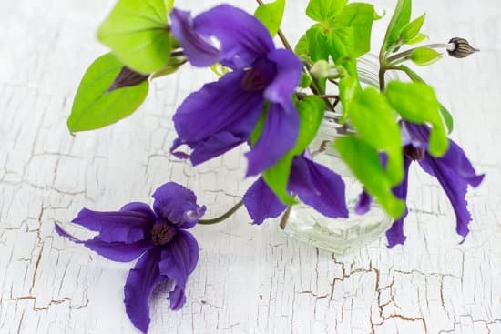 Natural Flower Gardens Planning Ideas Kansas 1 Charming natural flower garden ideas in Kansas with stunning layouts and designs