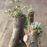 Gardening Gift Ideas 2019 tools, plants, decor & more