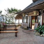 Ideas for Fairy Gardens Around Trees in Your Yard Enchanting fairy garden designs to create magic around trees in your yard