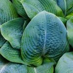 interactive play areas, colorful plants, and mini water features