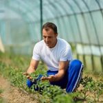 repurposing pallets for unique outdoor projects