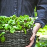 maximizing space intelligently