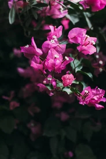 Pinterest Vertical Gardening Ideas 7 Explore stunning Pinterest vertical gardening ideas for creative and space-saving outdoor design inspiration